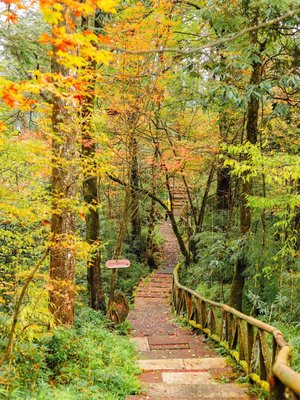 秋天的趣事日记三年级，秋天的趣事日记300字